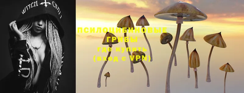 Галлюциногенные грибы Magic Shrooms  Владивосток 